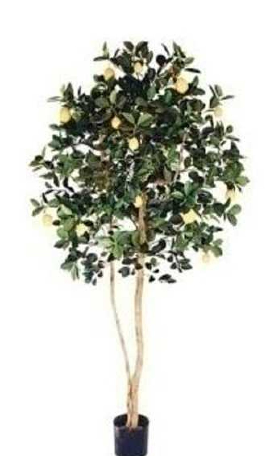 Plantas Artificiales Muebles Río | Rbol Mod. Limonero
